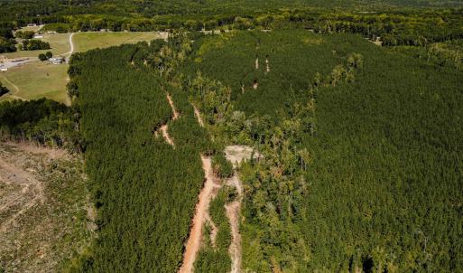 Photo #44 of Buckhorn, Sanford, NC 206.5 acres