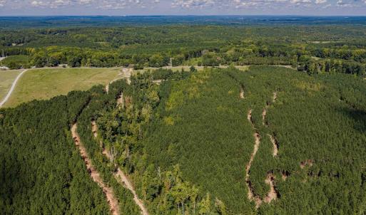 Photo #27 of Buckhorn, Sanford, NC 206.5 acres