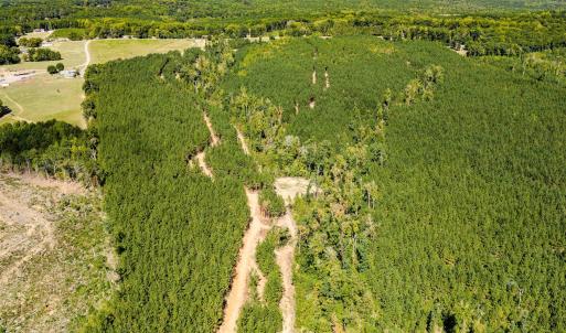 Photo #46 of Buckhorn, Sanford, NC 206.5 acres