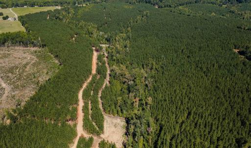 Photo #22 of Buckhorn, Sanford, NC 206.5 acres