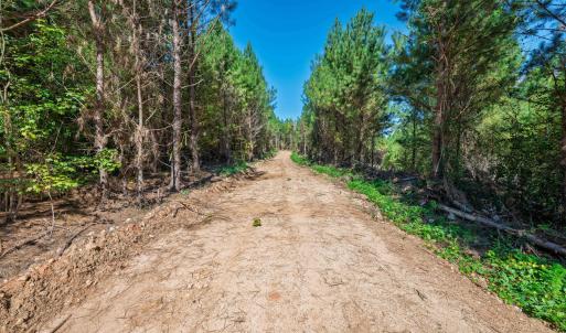 Photo #23 of Buckhorn, Sanford, NC 206.5 acres