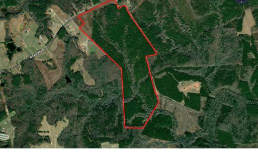 Photo #3 of Buckhorn, Sanford, NC 206.5 acres