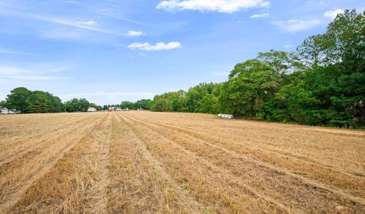 Photo #23 of 1612 Pagan, Raleigh, NC 10.4 acres