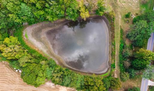 Photo #6 of 1612 Pagan, Raleigh, NC 10.4 acres