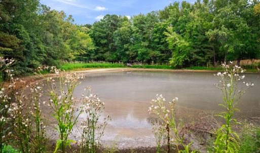 Photo #32 of 1612 Pagan, Raleigh, NC 10.4 acres
