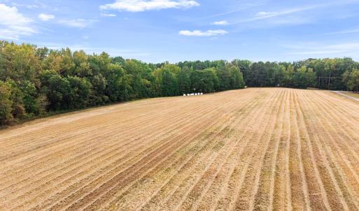 Photo #22 of 1612 Pagan, Raleigh, NC 10.4 acres