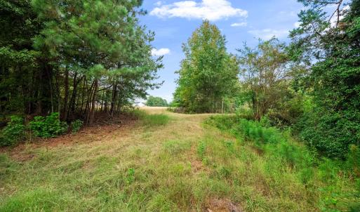Photo #37 of 1612 Pagan, Raleigh, NC 10.4 acres
