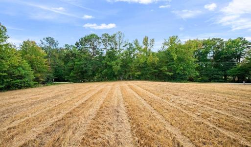 Photo #25 of 1612 Pagan, Raleigh, NC 10.4 acres