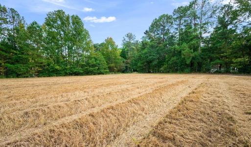 Photo #26 of 1612 Pagan, Raleigh, NC 10.4 acres