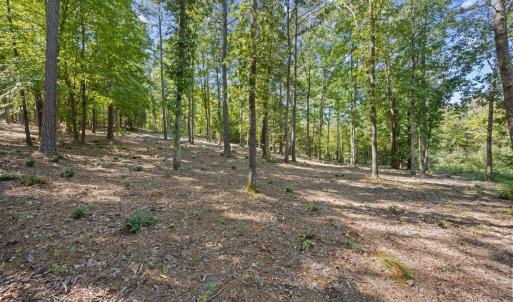 Photo #3 of 4000 Granite Ridge, Raleigh, NC 10.5 acres