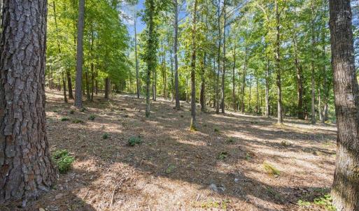 Photo #2 of 4000 Granite Ridge, Raleigh, NC 10.5 acres