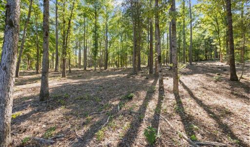 Photo #4 of 4000 Granite Ridge, Raleigh, NC 10.5 acres