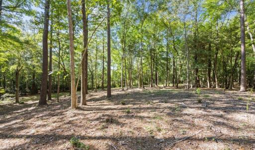 Photo #3 of 4060 Granite Ridge, Raleigh, NC 10.3 acres
