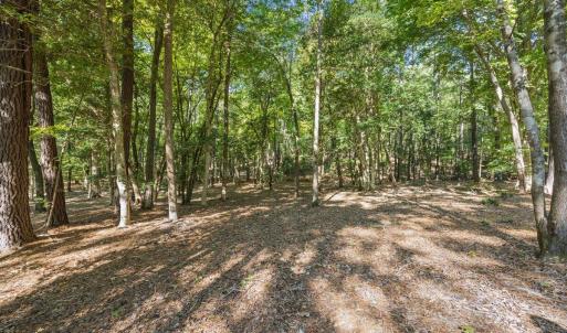 Photo #4 of 4060 Granite Ridge, Raleigh, NC 10.3 acres