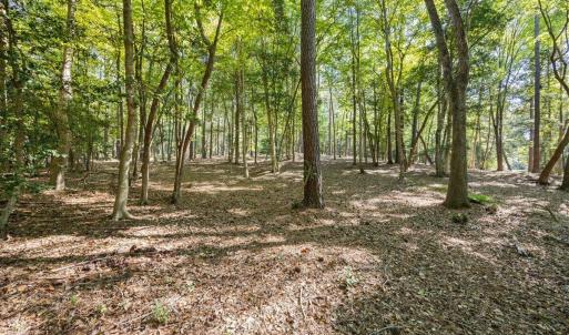 Photo #5 of 4060 Granite Ridge, Raleigh, NC 10.3 acres