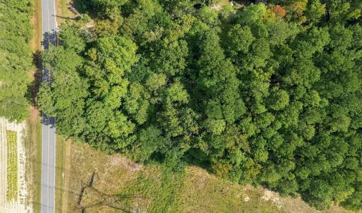Photo #10 of 7108 Riley Hill School, Wendell, NC 2.8 acres