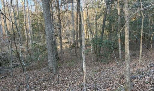 Photo #16 of 3829 Standing Pine, Zebulon, NC 7.9 acres