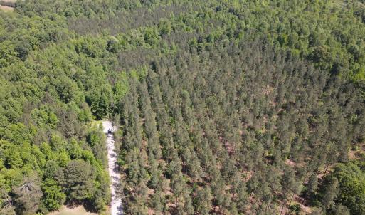 Photo #17 of 3829 Standing Pine, Zebulon, NC 7.9 acres
