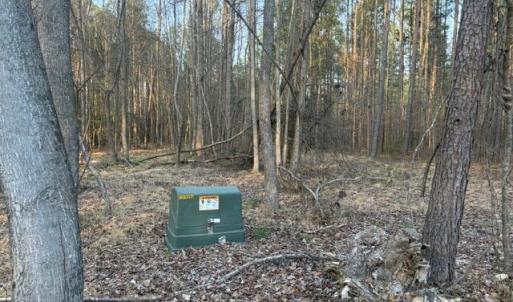 Photo #18 of 3829 Standing Pine, Zebulon, NC 7.9 acres