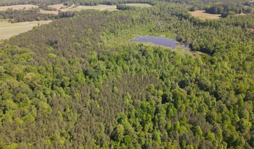 Photo #21 of 3829 Standing Pine, Zebulon, NC 7.9 acres