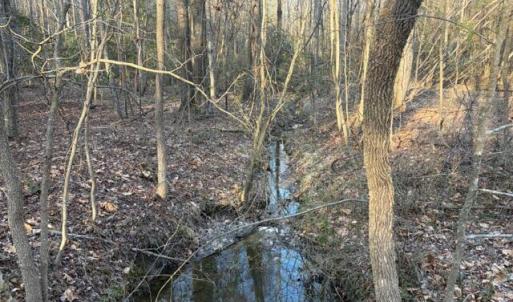 Photo #20 of 3829 Standing Pine, Zebulon, NC 7.9 acres