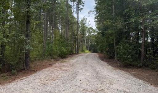 Photo #13 of 3829 Standing Pine, Zebulon, NC 7.9 acres