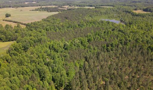 Photo #4 of 3829 Standing Pine, Zebulon, NC 7.9 acres