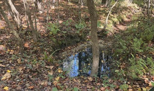 Stream