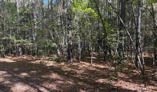 Perfect Homesite