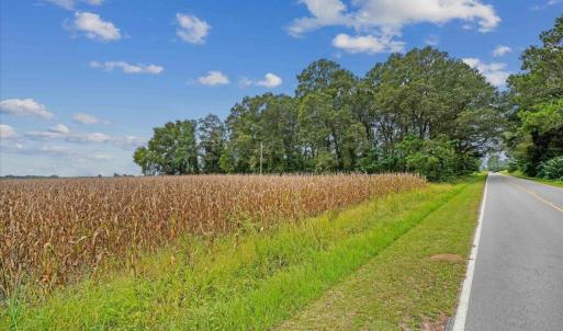 Photo #8 of Holt, Princeton, NC 12.1 acres