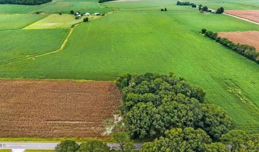 Photo #7 of Holt, Princeton, NC 12.1 acres
