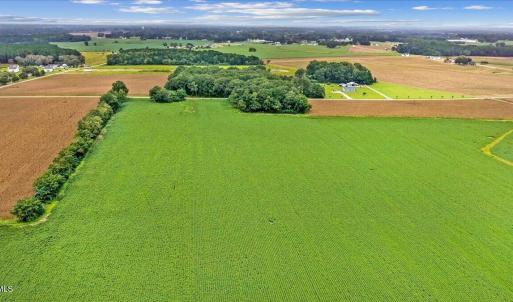 Photo #5 of Holt, Princeton, NC 12.1 acres