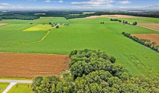 Photo #6 of Holt, Princeton, NC 12.1 acres