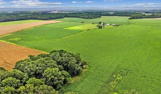 Photo #2 of Holt, Princeton, NC 12.1 acres
