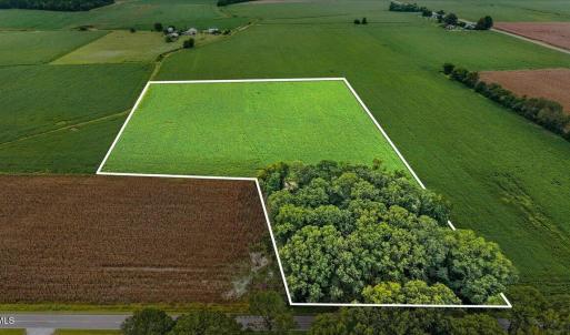 Photo #1 of Holt, Princeton, NC 12.1 acres