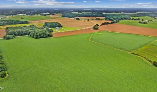 Photo #3 of Holt, Princeton, NC 12.1 acres