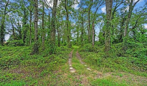 Photo #9 of Holt, Princeton, NC 12.1 acres
