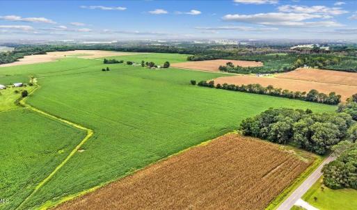 Photo #4 of Holt, Princeton, NC 12.1 acres
