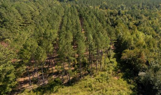 Photo #3 of Mcleod, Broadway, NC 148.3 acres