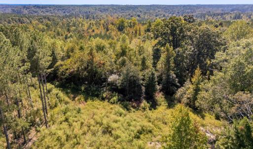 Photo #9 of Mcleod, Broadway, NC 148.3 acres
