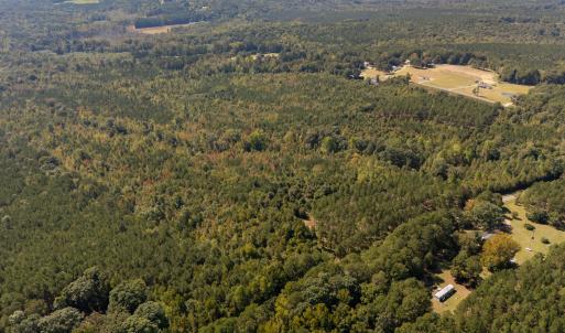 Photo #7 of Mcleod, Broadway, NC 148.3 acres