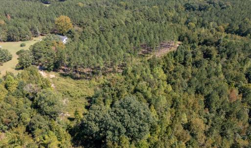 Photo #5 of Mcleod, Broadway, NC 148.3 acres