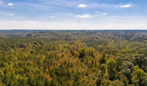 Photo #13 of Mcleod, Broadway, NC 148.3 acres