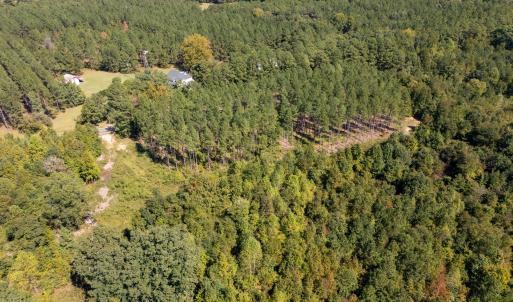 Photo #16 of Mcleod, Broadway, NC 148.3 acres