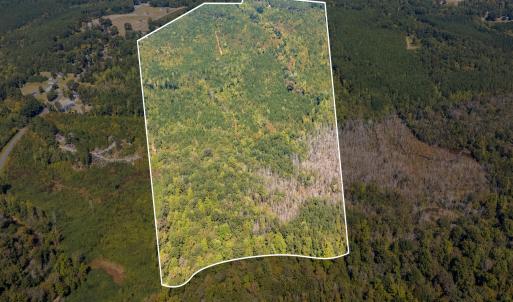 Photo #1 of Mcleod, Broadway, NC 148.3 acres