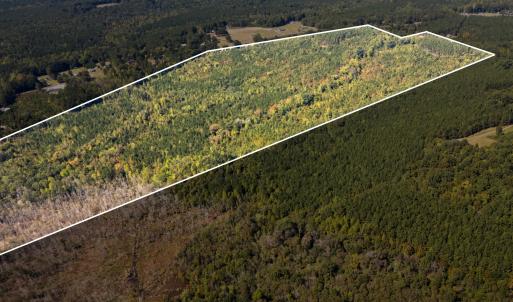 Photo #18 of Mcleod, Broadway, NC 148.3 acres