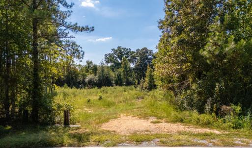 Photo #10 of Mcleod, Broadway, NC 148.3 acres