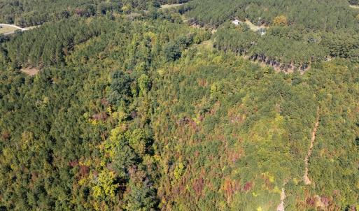 Photo #17 of Mcleod, Broadway, NC 148.3 acres