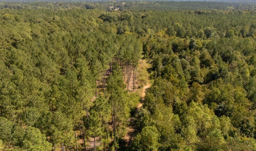 Photo #14 of Mcleod, Broadway, NC 148.3 acres