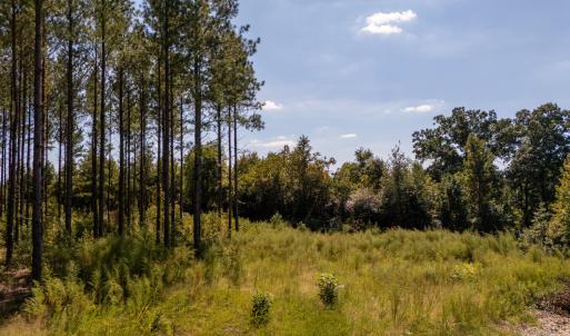Photo #12 of Mcleod, Broadway, NC 148.3 acres